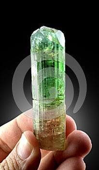 multicolor tourmaline elbaite crystal mineral specimen from Afghanistan