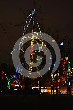 Multicolor winter trees wrapped in luminous New Year and Rozhdestvensky garlands of LEDs, bulbs in the park of the city of Dnipro,