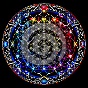 Multicolored abstraction, flower of life.