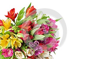 Multicolored alstroemeria lilies flowers round bouquet on white background isolated closeup