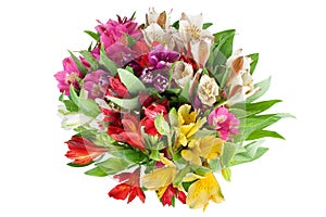 Multicolored alstroemeria lilies flowers round bouquet on white background isolated closeup