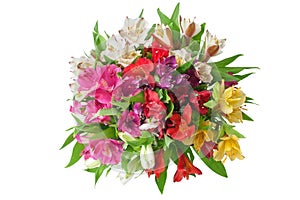 Multicolored alstroemeria lilies flowers round bouquet on white background isolated closeup