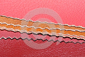 Multicolored Artificial Leather Samples