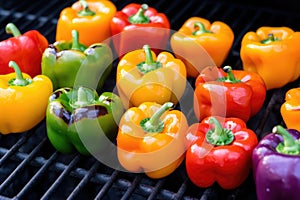 multicolored bell peppers with grill scorer marks photo