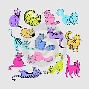 Multicolored bright cats in various poses and different breeds in cartoon style