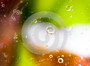 Multicolored bubble oil drops on the water surface, abstract background