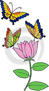 Multicolored butterflies on pink flower with green leaves