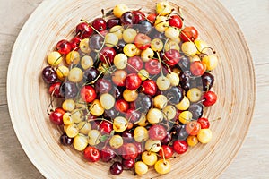 Multicolored cherries on Bowl. White and red cherries. Close up shot. Summer seasonal fruits. Healthy food. Selective focus