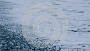 Multicolored Colorful Sea Pebbles. Pebbles Under Water. Background Of Pebbles.