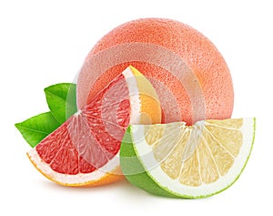 Multicolored composition with different citrus fruits - grapefruits and pomelo isolated on a white background.