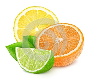Multicolored composition with slices of different citrus fruits isolated on a white background.