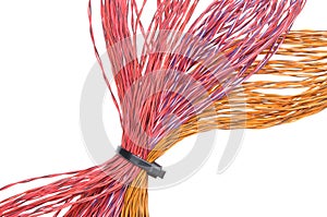 Multicolored computer cable with cable ties