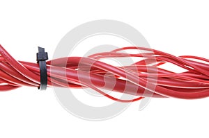 Multicolored computer cable with cable ties