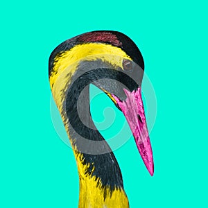 Multicolored crane on a colorful background. An exotic bird with a large beak and a long neck. Collage of contemporary