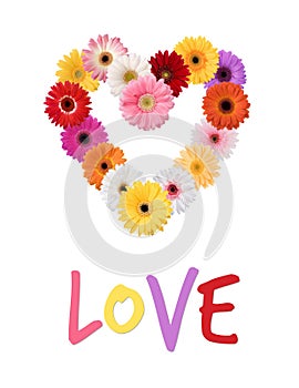 Multicolored Daisies Gerber Daisy Heart Wreath Abstract Love
