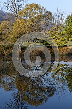 Multicolored deciduous trees growing on the banks of the river and mirroring on the surface