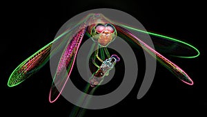 Multicolored dragonfly on its perch, macro photo of this gracious and fragile predator, digital neon light effect photo