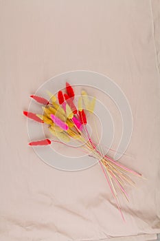 Multicolored dry twigs spikelet in a bouquet on a white background photo