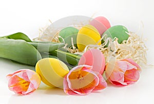Multicolored eggs and pink tulips over white background.