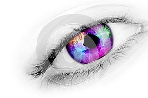 Multicolored eye