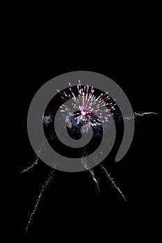 Multicolored fireworks exploding on the sky for New Year Celebration