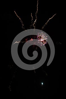 Multicolored fireworks exploding on the sky for New Year Celebration