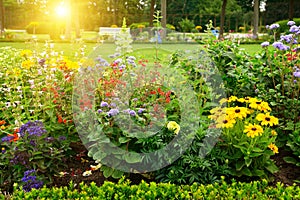 Multicolored flowerbed in park