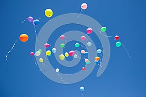 Multicolored flying balloons directed to the blue sky during party celebration