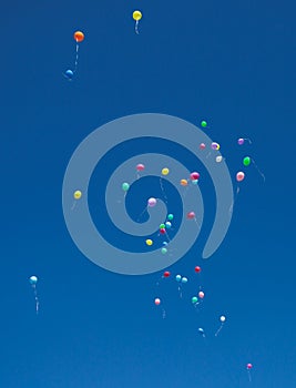 Multicolored flying balloons directed to the blue sky during party celebration