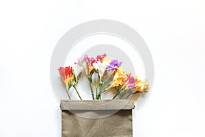 Multicolored freesia flowers and a sprig of cherry blossom in a canvas bag on a white background
