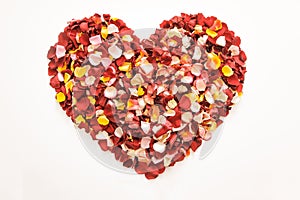 Multicolored heart shape with fresh rose petals on white background.