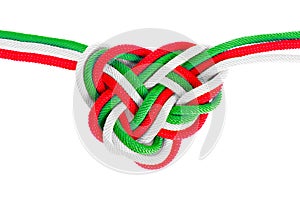 Multicolored heart shaped celtic knot on white