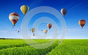 Hot air balloons fly in blue sky over green field. Beautiful summer sunny day, windless weather
