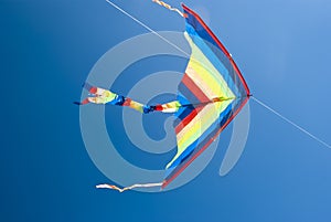 Multicolored kite