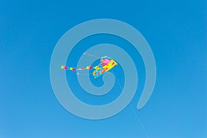 Multicolored kite in blue sly