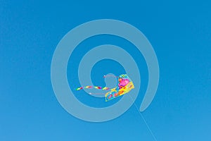 Multicolored kite in blue sly