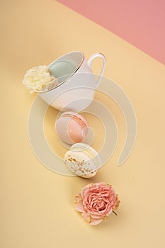 Multicolored macaroons cake are placed in a cup along with buds