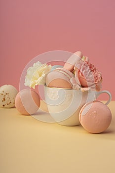 Multicolored macaroons cake are placed in a cup along with buds