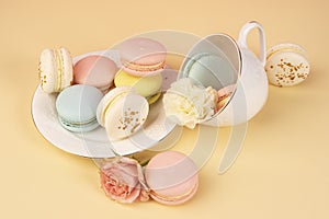 Multicolored macaroons cake are placed in a saucer and a cup alo