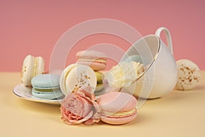 Multicolored macaroons cake are placed in a saucer and a cup along with buds of a carnation and roses on a yellow and pink