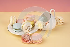 Multicolored macaroons cake are placed in a saucer and a cup along with buds of a carnation and roses on a yellow and pink