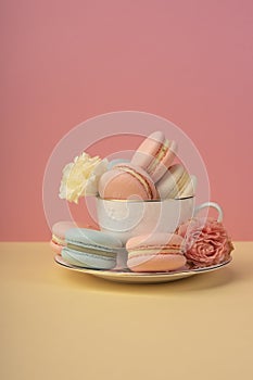 Multicolored macaroons cake are placed in a saucer and a cup along with buds of a carnation and roses on a yellow and pink