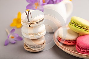 Multicolored macaroons with spring snowdrop crocus flowers and cup of coffee on gray pastel background. side view, close up,