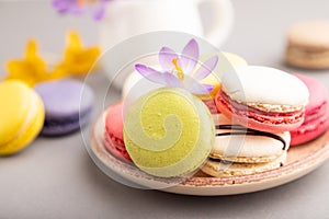 Multicolored macaroons with spring snowdrop crocus flowers and cup of coffee on gray pastel background. side view, close up,