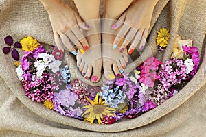 Multicolored manicure and pedicure