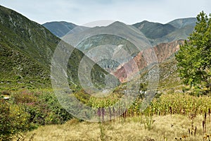 Multicolored mountains near Iruya, Argentina