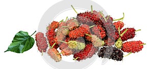 Multicolored mulberry cubes on a white background.