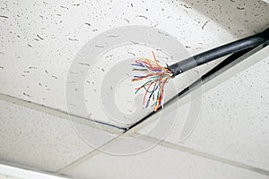 A multicolored, multicore wire sticks out from the ceiling. The internal wiring cable is broken. Damaged multicore telephone cable