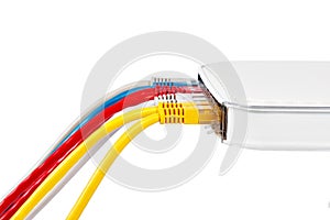 Multicolored network cables connected to router on a white background