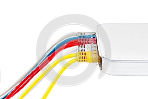 Multicolored network cables connected to router on a white background